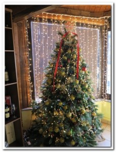 xmas41